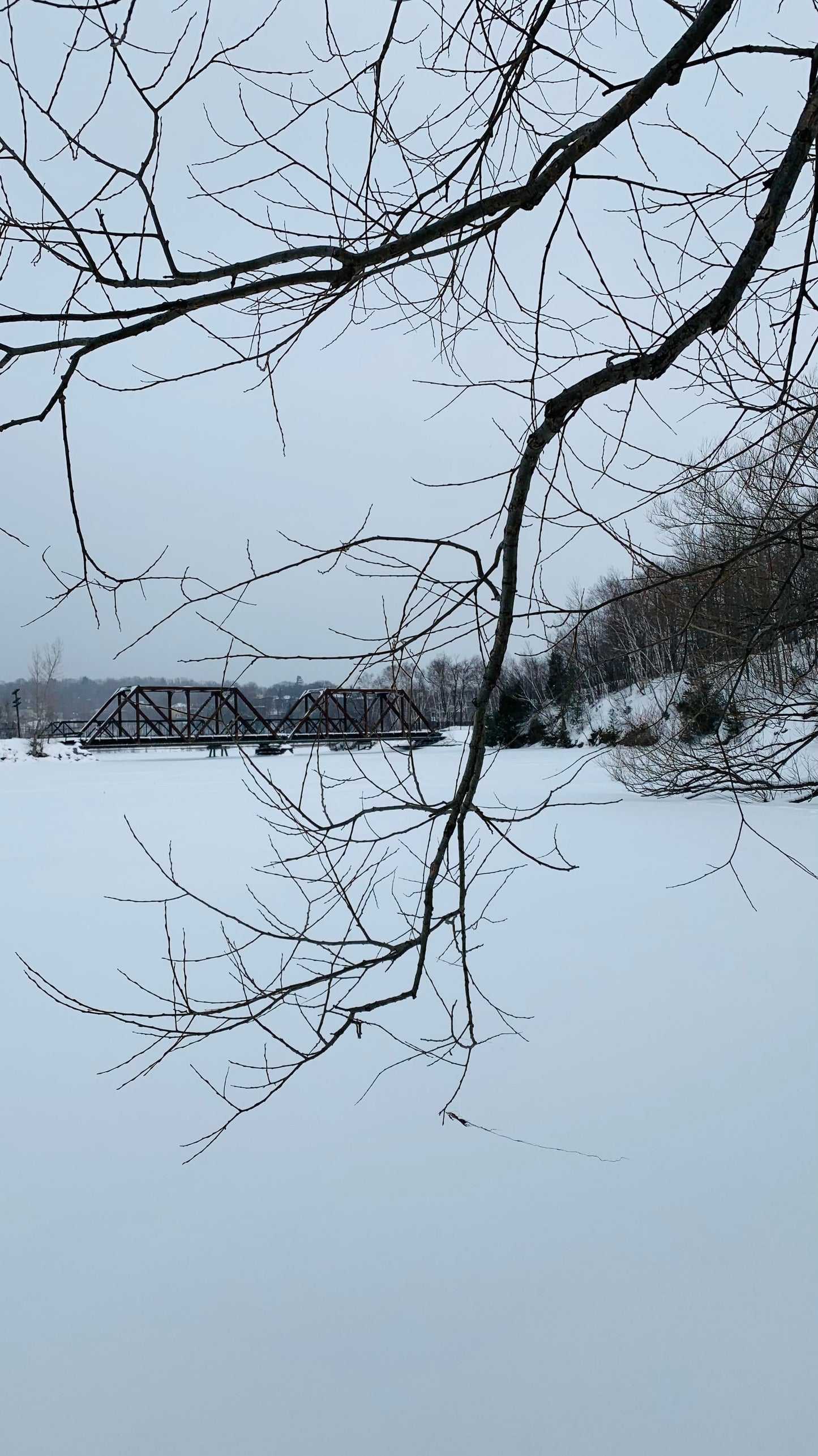 Sortie Du Samedi - La Beauté Est Dans Les Détails (7 Photos)