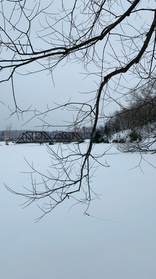 Sortie Du Samedi - La Beauté Est Dans Les Détails (7 Photos)